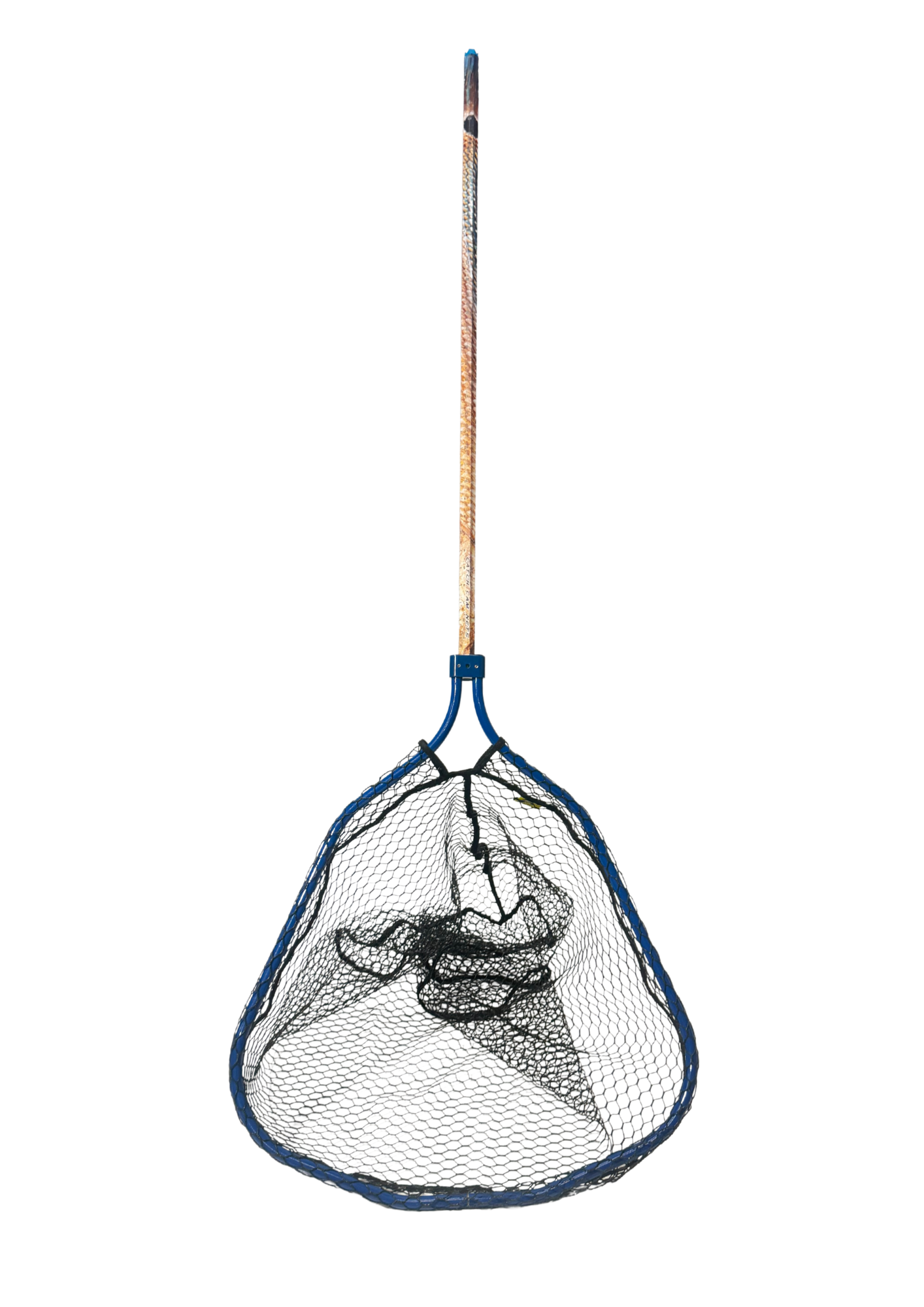 Salt Net
