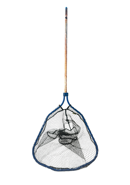 Salt Net